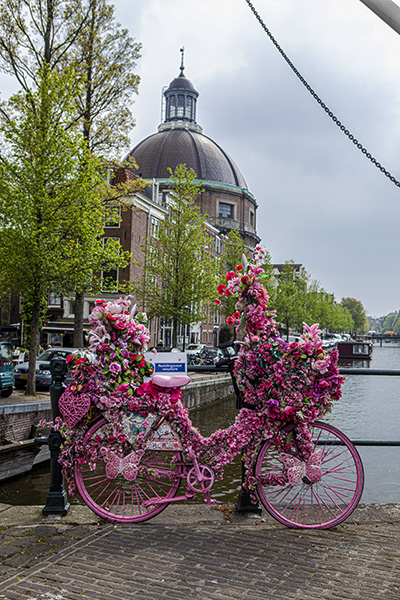 The Pinkest Bike